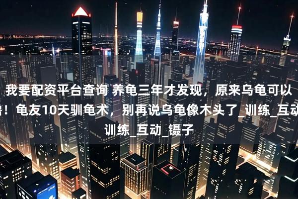 我要配资平台查询 养龟三年才发现，原来乌龟可以当狗撸！龟友10天驯龟术，别再说乌龟像木头了_训练_互动_镊子