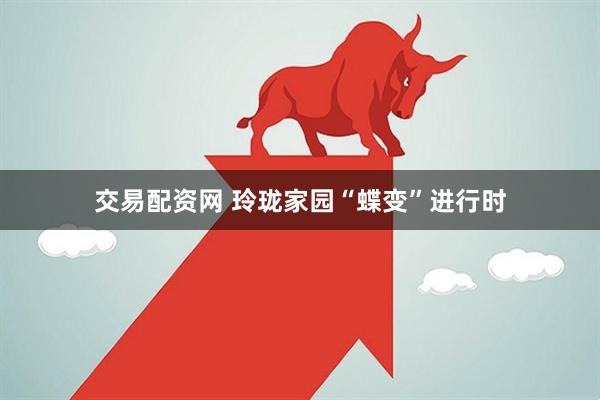 交易配资网 玲珑家园“蝶变”进行时