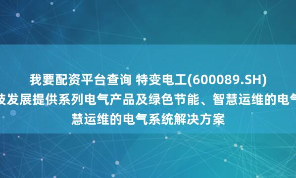 我要配资平台查询 特变电工(600089.SH)：可为量子科技发展提供系列电气产品及绿色节能、智慧运维的电气系统解决方案