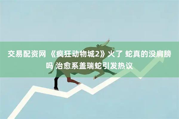 交易配资网 《疯狂动物城2》火了 蛇真的没肩膀吗 治愈系盖瑞蛇引发热议