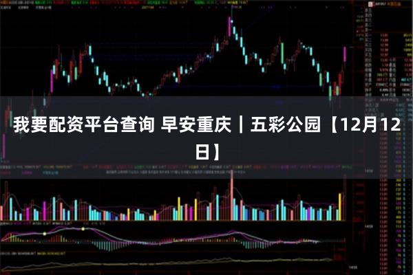 我要配资平台查询 早安重庆｜五彩公园【12月12日】
